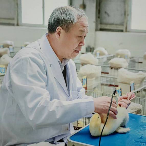 专家 侯水生