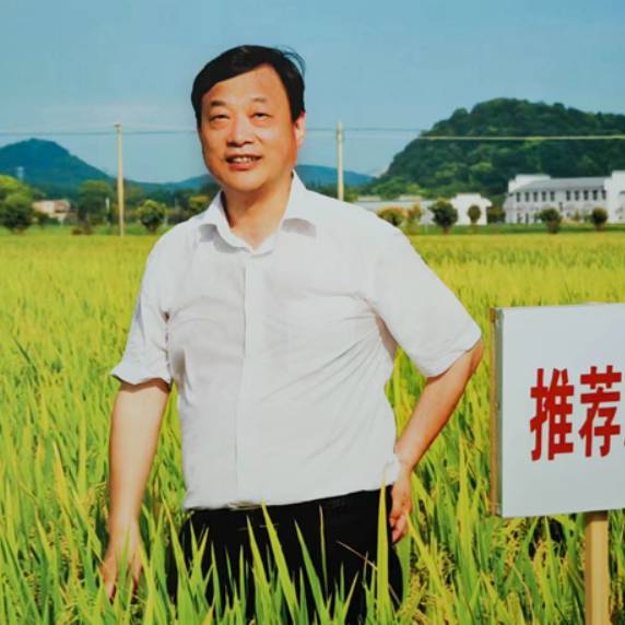 专家 周卫