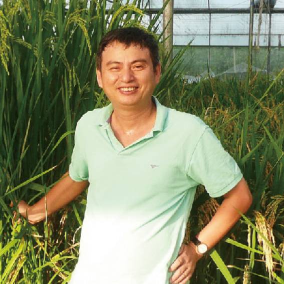 专家 钱前