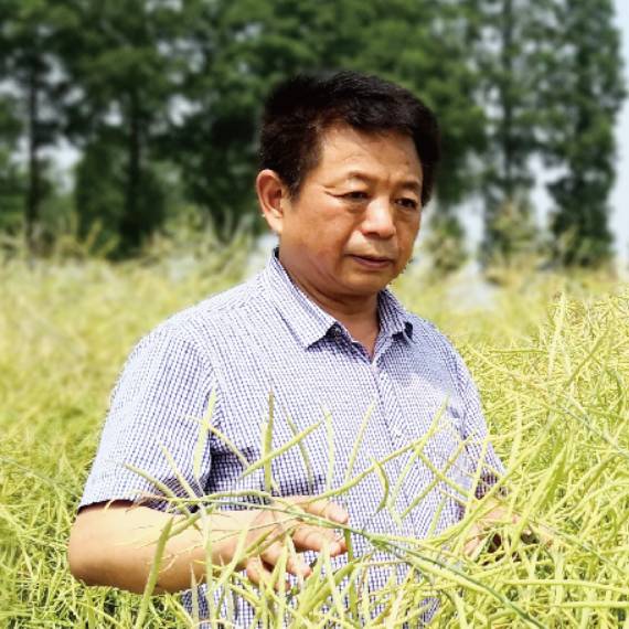 专家 王汉中