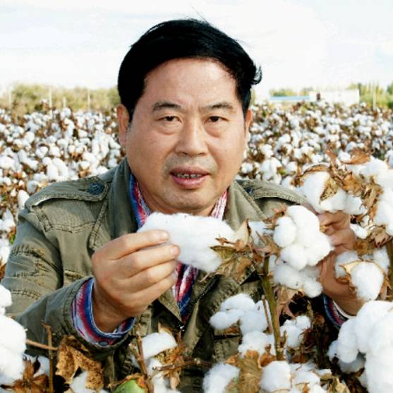 专家 喻树迅
