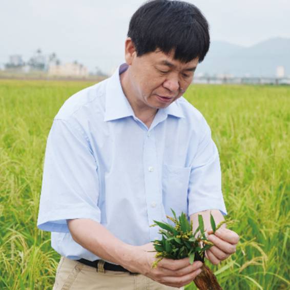 专家 李家洋