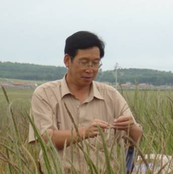 专家 徐柱